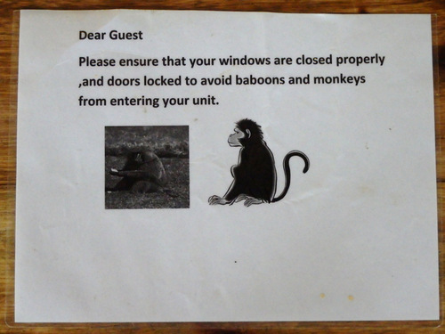 Warnings to customers, Monkeys are thieves.